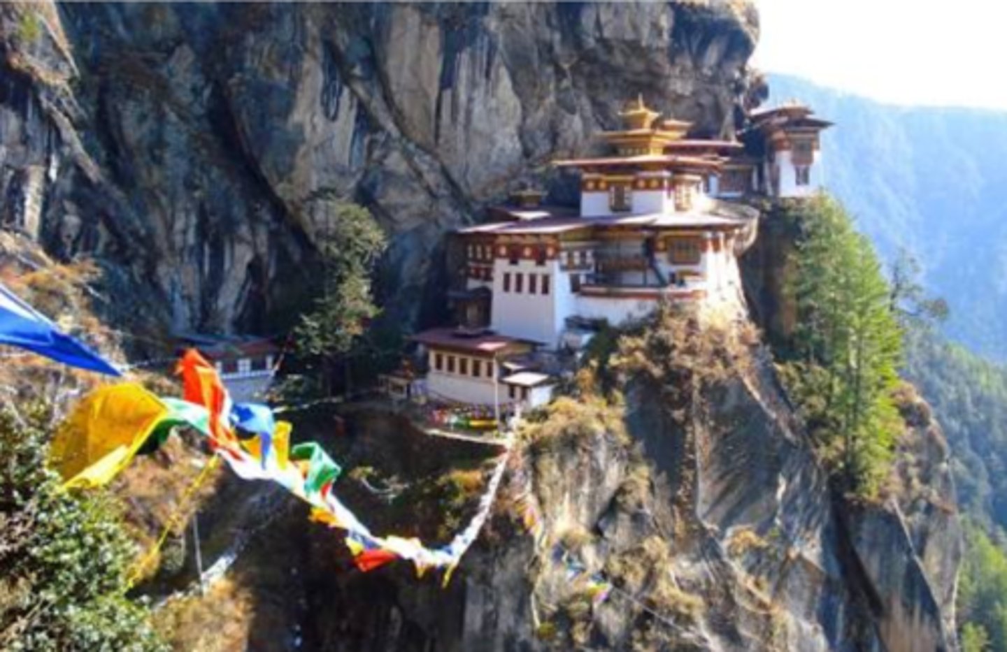 <p>Where is this?</p>