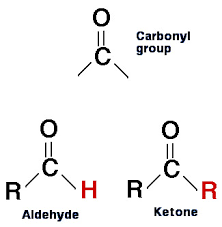 <ul><li><p>Polar</p></li><li><p>ketone: within carbon skeleton</p></li><li><p>aldehyde: end of carbon skeleton</p></li></ul><p></p>