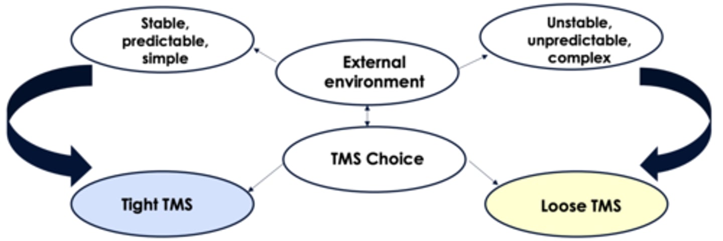 <p>• Participative organization (Argyris)</p><p>• Self-managed &amp; multi disciplinary teams</p><p>• Emotions interactions at work</p><p>• Informal autonomous arrangements</p><p>• Adhocratic and decentralized</p><p>• Omission errors</p>