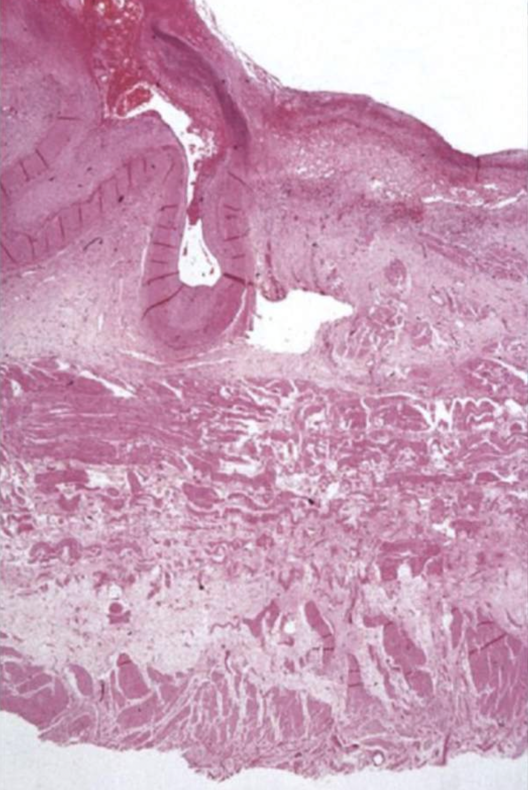 <p><strong><span>What can you see in this image? </span></strong></p>