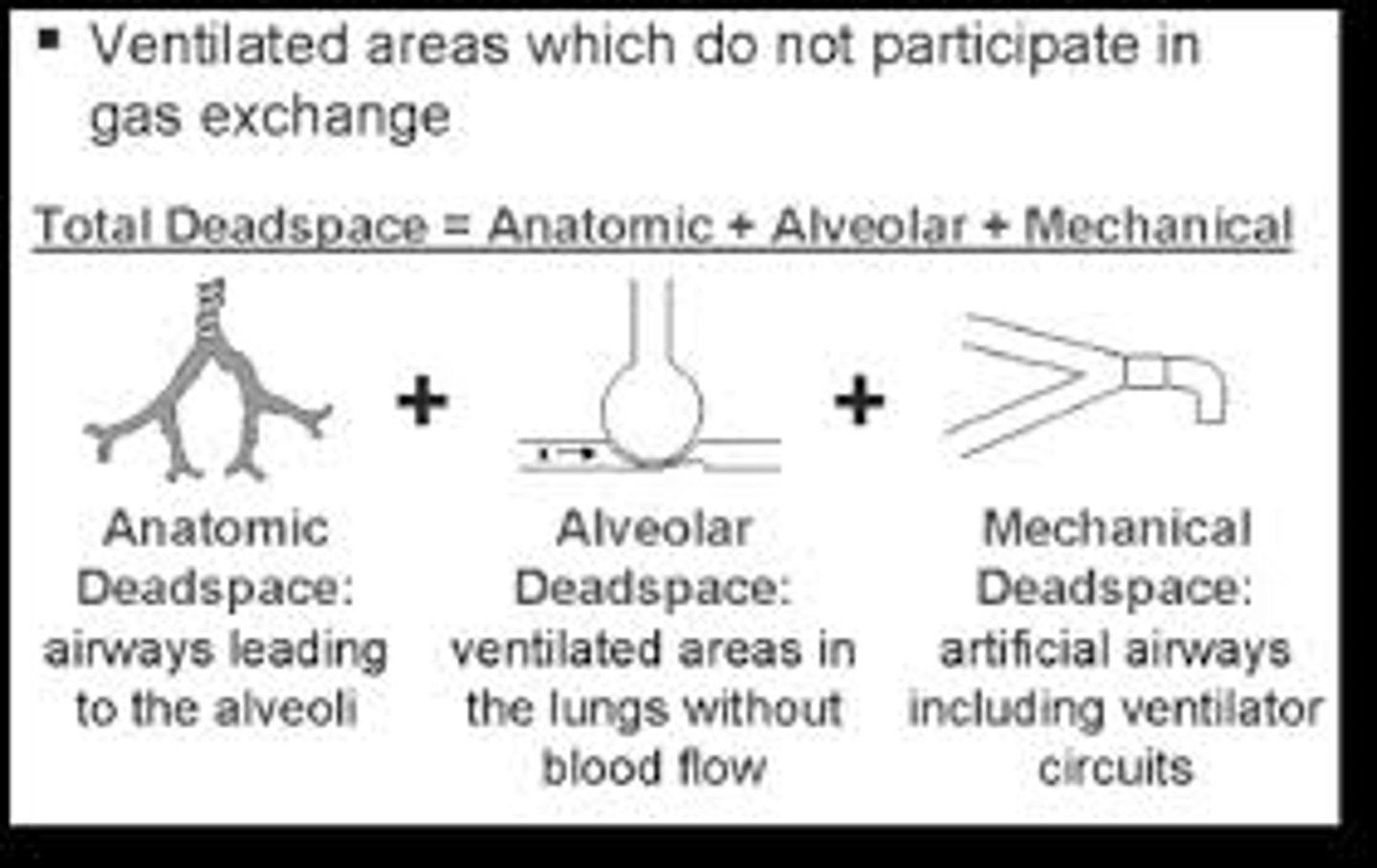 <p>blood vessel walls are too thick to allow for gas exchange</p>