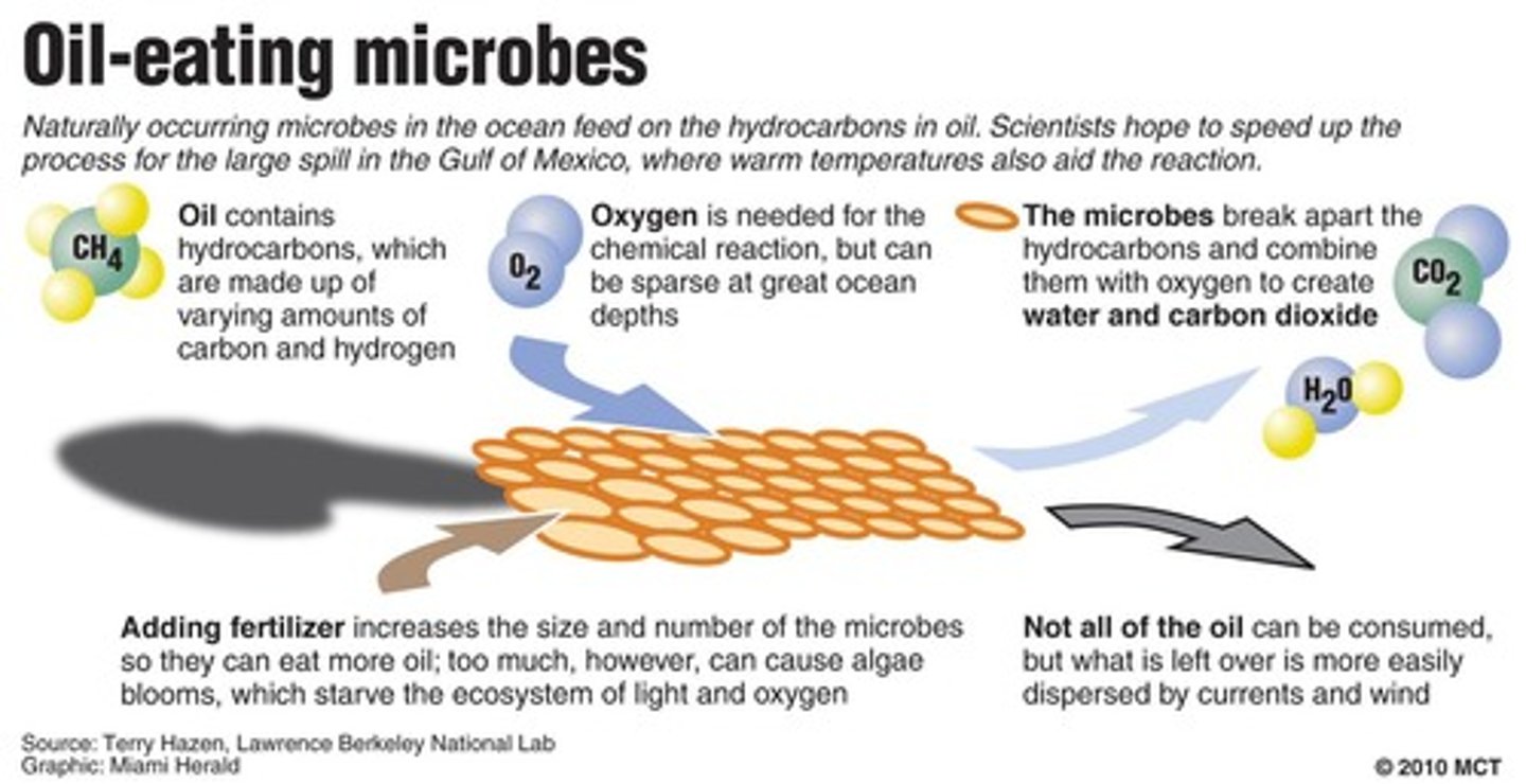 <p>A cleanup method that uses microorganisms to break down pollutants.</p>
