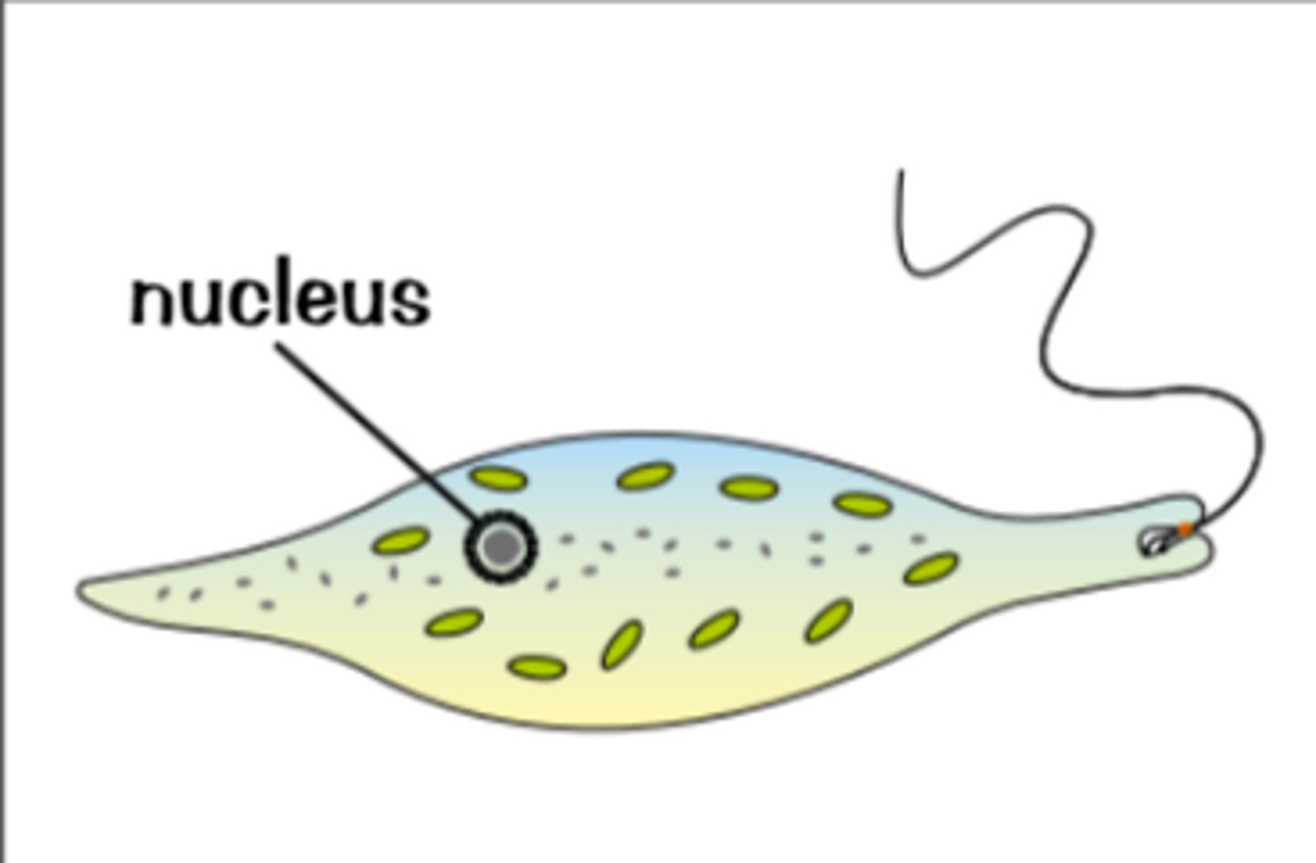 <p>diagram added</p>