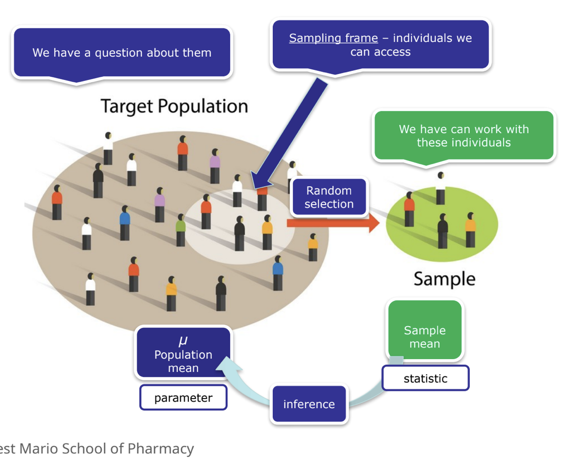 <ul><li><p>population</p></li><li><p>sampling frame</p></li><li><p>sample</p><ul><li><p>portion of the population</p></li><li><p><strong>random</strong> → each member has an equal change of being picked</p></li></ul></li><li><p>observation</p><ul><li><p>the unit upon which measurements are made</p></li></ul></li><li><p>variables</p><ul><li><p>characteristics being observed or measured</p></li></ul></li><li><p>value</p><ul><li><p>a realized measurement</p></li></ul></li></ul><p></p>
