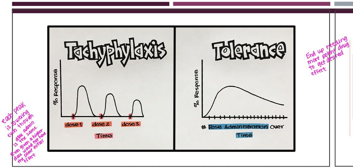 <p>Tachyphylaxis - a rapid decrease in the response to a drug after repeated administration in a short period of time due to receptor desensitization, depletion or neurotransmitters or mediators, or physiological adaptation (body opposes drug effects)</p><ul><li><p>develops slowly</p></li></ul><p>Tolerance is when a drug had theraputic effects but over time the body needs more of the drug or greater potency to get the same desired effect</p><ul><li><p>develops quickly</p></li></ul><p></p>