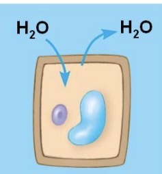 <p>What is this?</p>