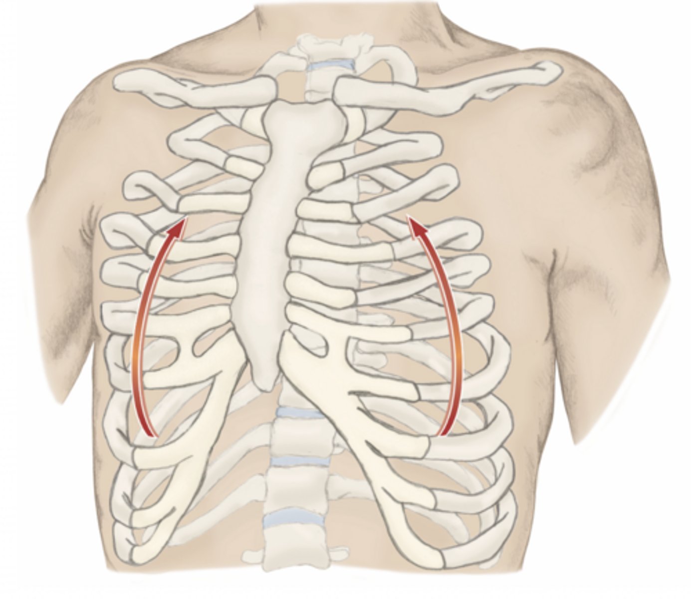 <p>please identify the movement and its location</p>