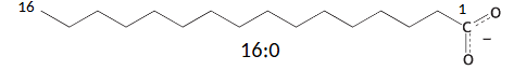 <p>what us this fatty acid called</p>