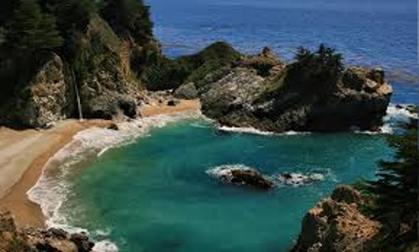 <p>Coves</p>