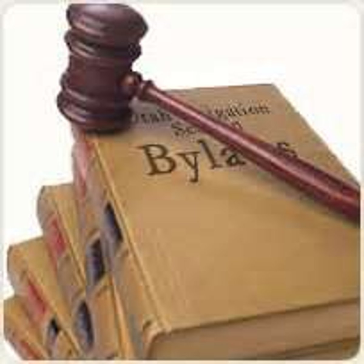 <p>basic rules of a society</p>