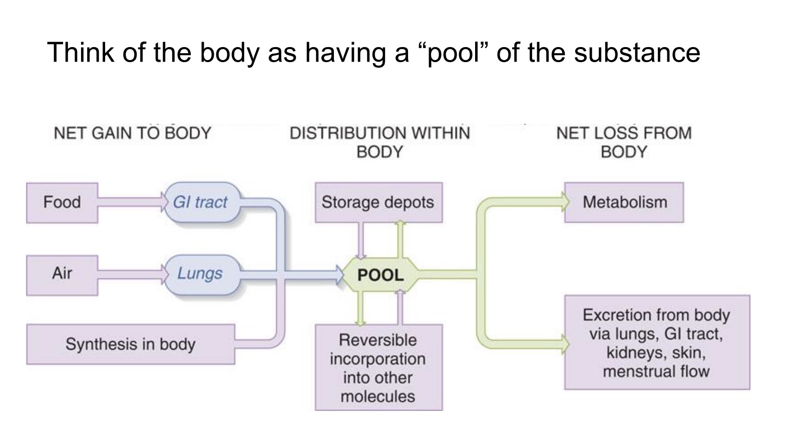 <p>-ex: Na+, K+, Ca2+</p><p>-ex: Sodium ingested vs Sodium extremed (if increase ingested, body cataches up to a certain point with amount excrete)</p>