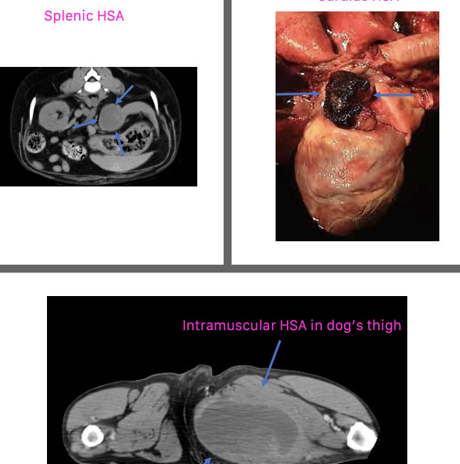 <p>depends on primary location</p>