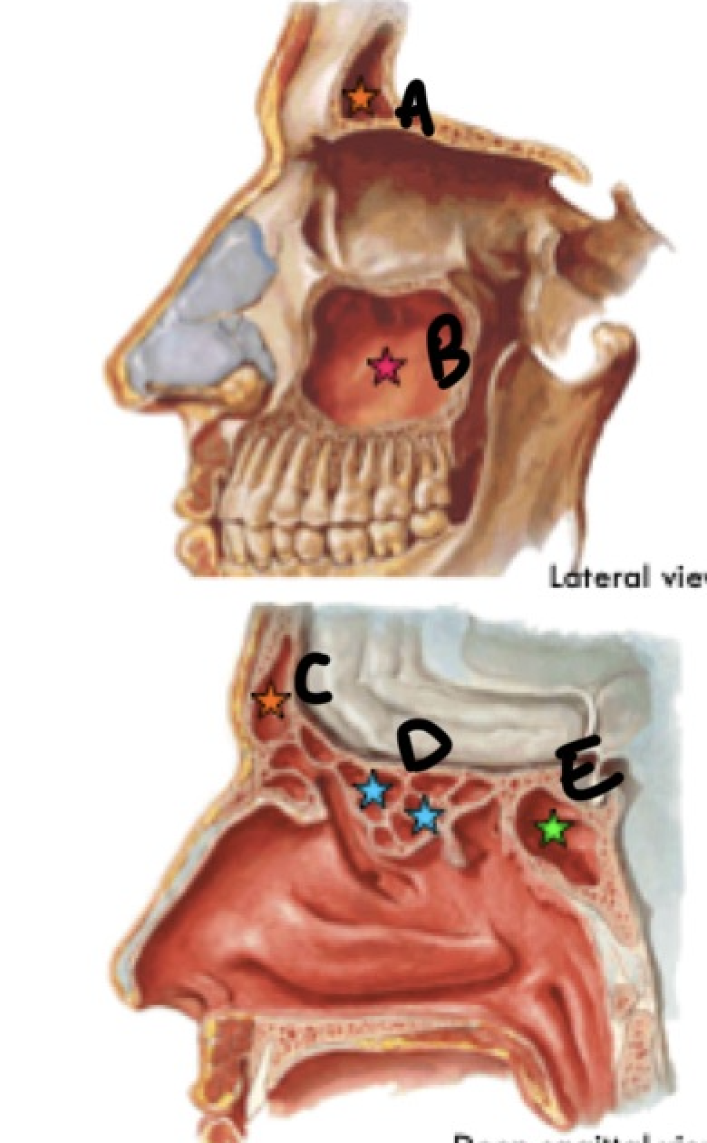 <p>What is D?</p>