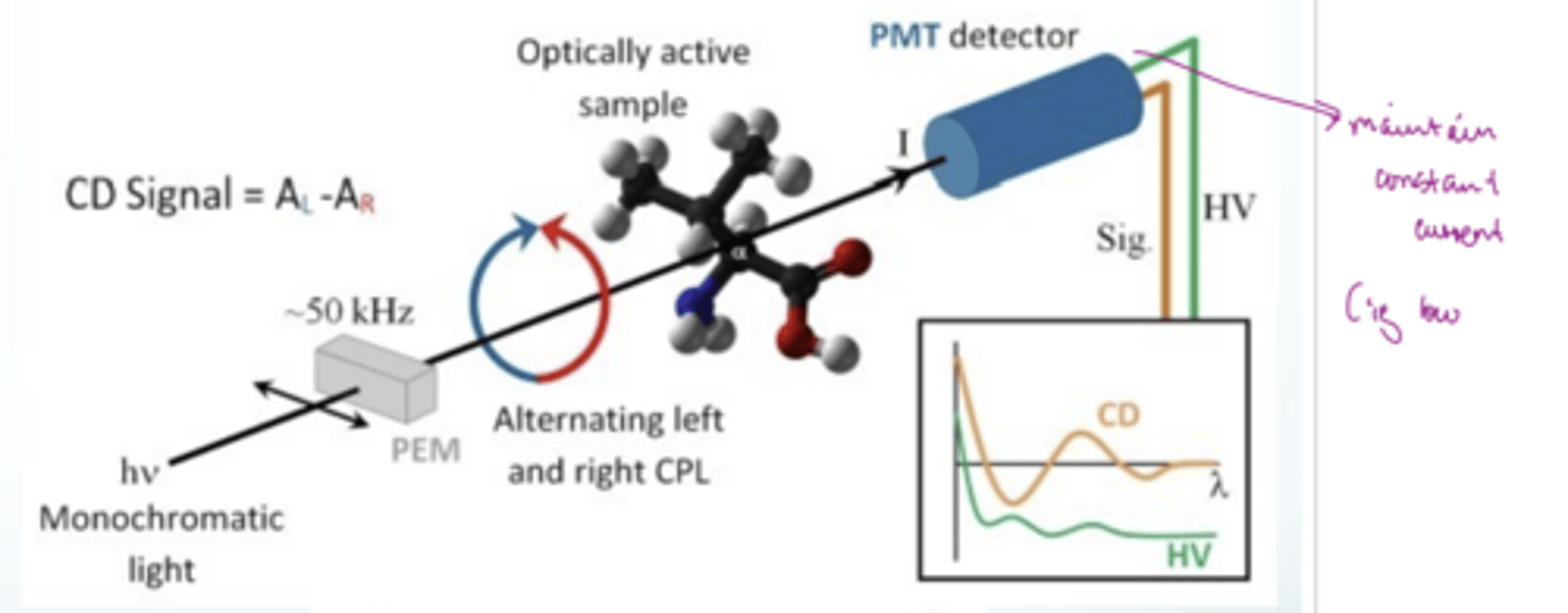 <p><span style="font-family: Arial, sans-serif;"><strong>CD measures the difference in absorption of left- and right-circularly polarised light by chiral molecules</strong></span></p><p>1) produce light that can rapidly alternate between LCP and RCP</p><p>2) hit optically active sample (chiral (proteins) or achiral but bound in a chiral environment e.g. achiral ligand bound to a chiral protein)</p><p>3) hit detector which measure how much of each light is absorbed</p><p>The CD signal is the difference between the absorbance of LCP and RCP</p><p>can convert to change in epsillon if path length and concentration is known using the Beer-Lambert law</p><p>change in epsillon is much smaller than epsillon</p><p>pheta is molar ellipticity</p>