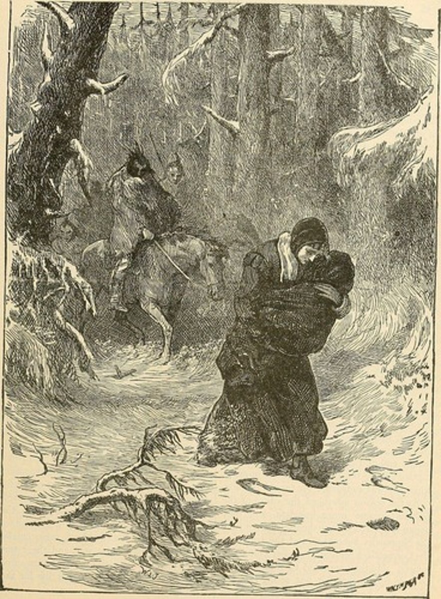 <p>Captivity narratives.</p>