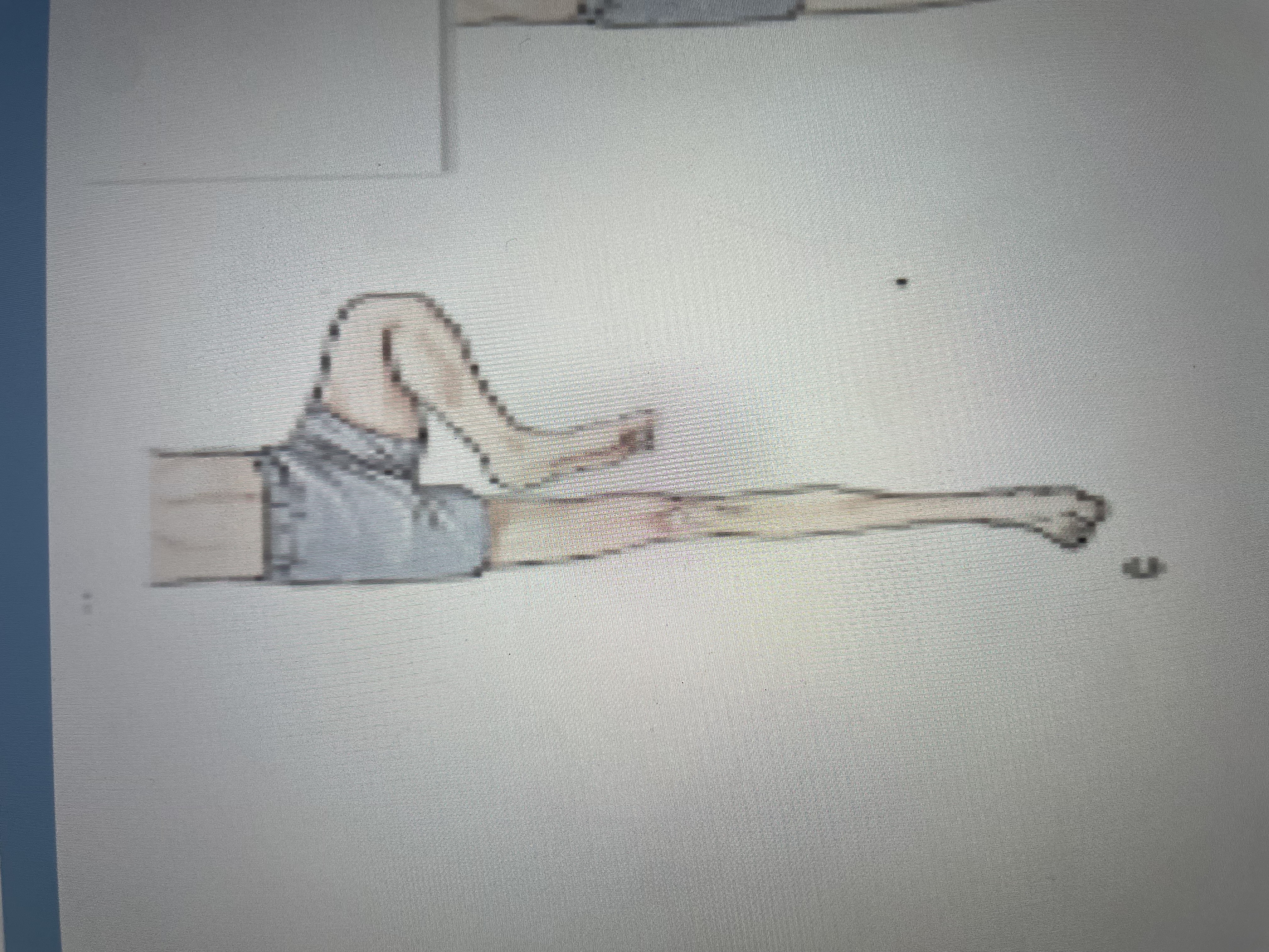 <p>lower flexion synergy</p>