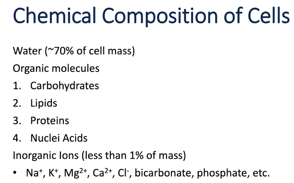 <ul><li><p><span style="background-color: transparent; font-family: "Trebuchet MS", sans-serif;"><span>Cells are made of mostly water, organic molecules, and inorganic ions</span></span></p></li></ul><p></p>