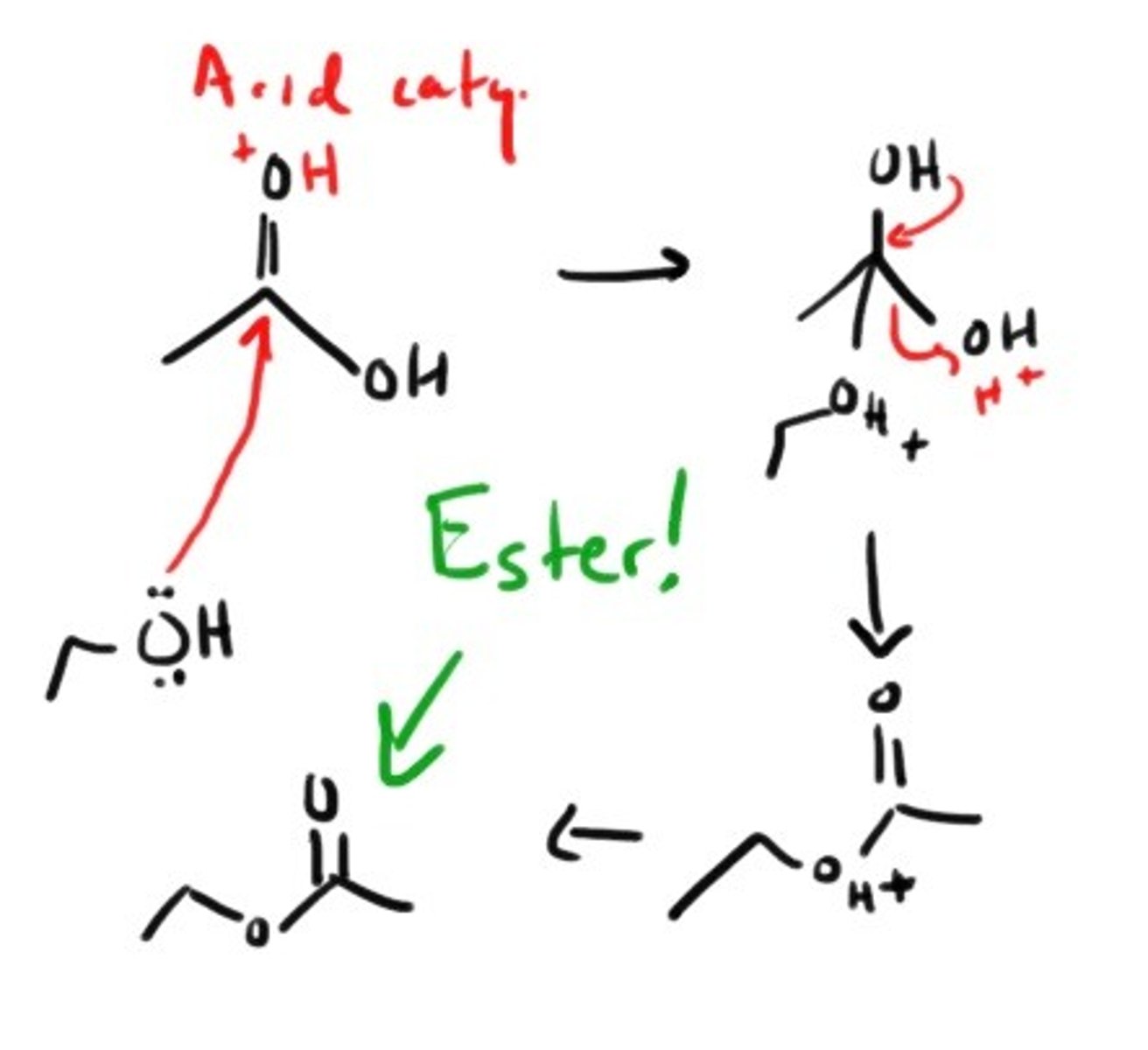 <p>Addition of a primary alcohol under ACIDIC conditions.</p>