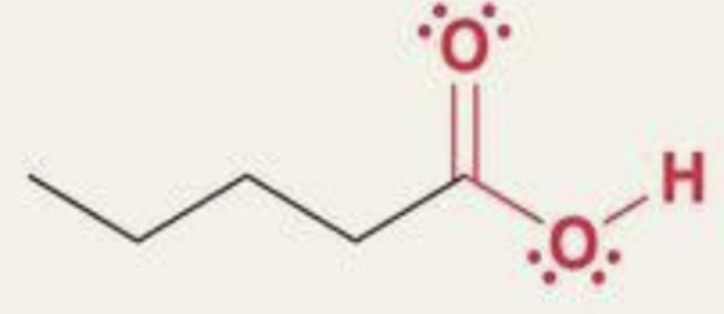 <p>What functional group is this?</p>