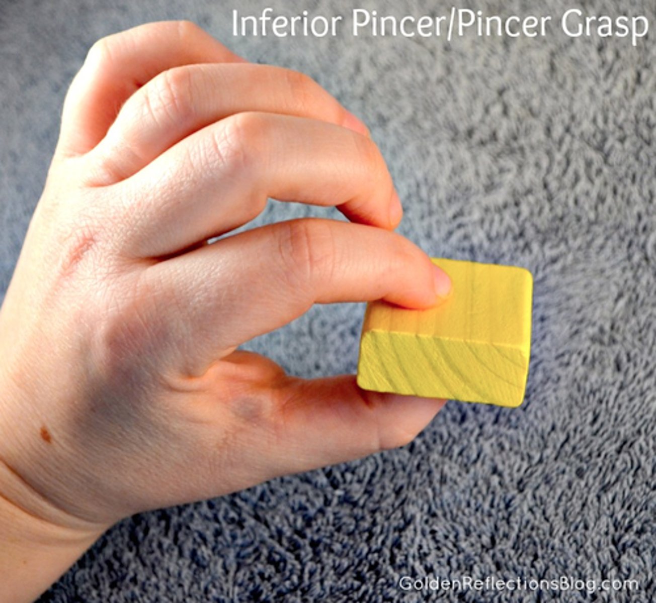 <p>Using forefinger and thumb to grasp objects. Around 9 months of age.</p>