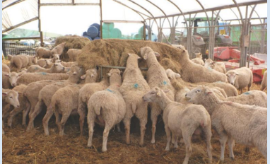 <p>what can we see here?</p>