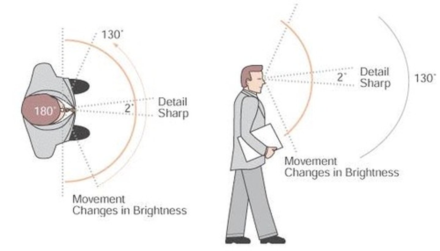 <p>Total area visible when looking straight ahead.</p>