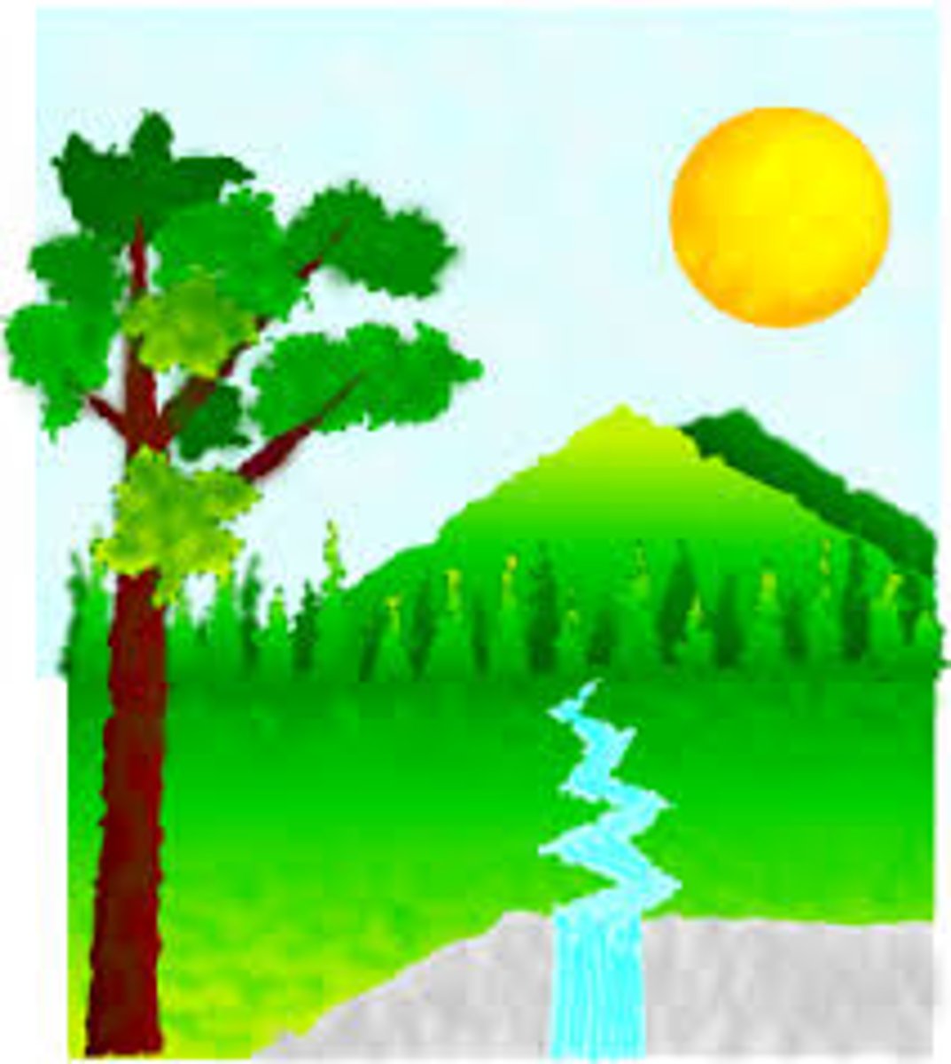 <p>the nature</p>