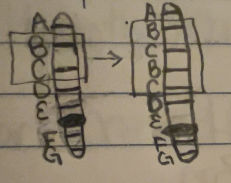 <p>structural change to chromosomes</p>
