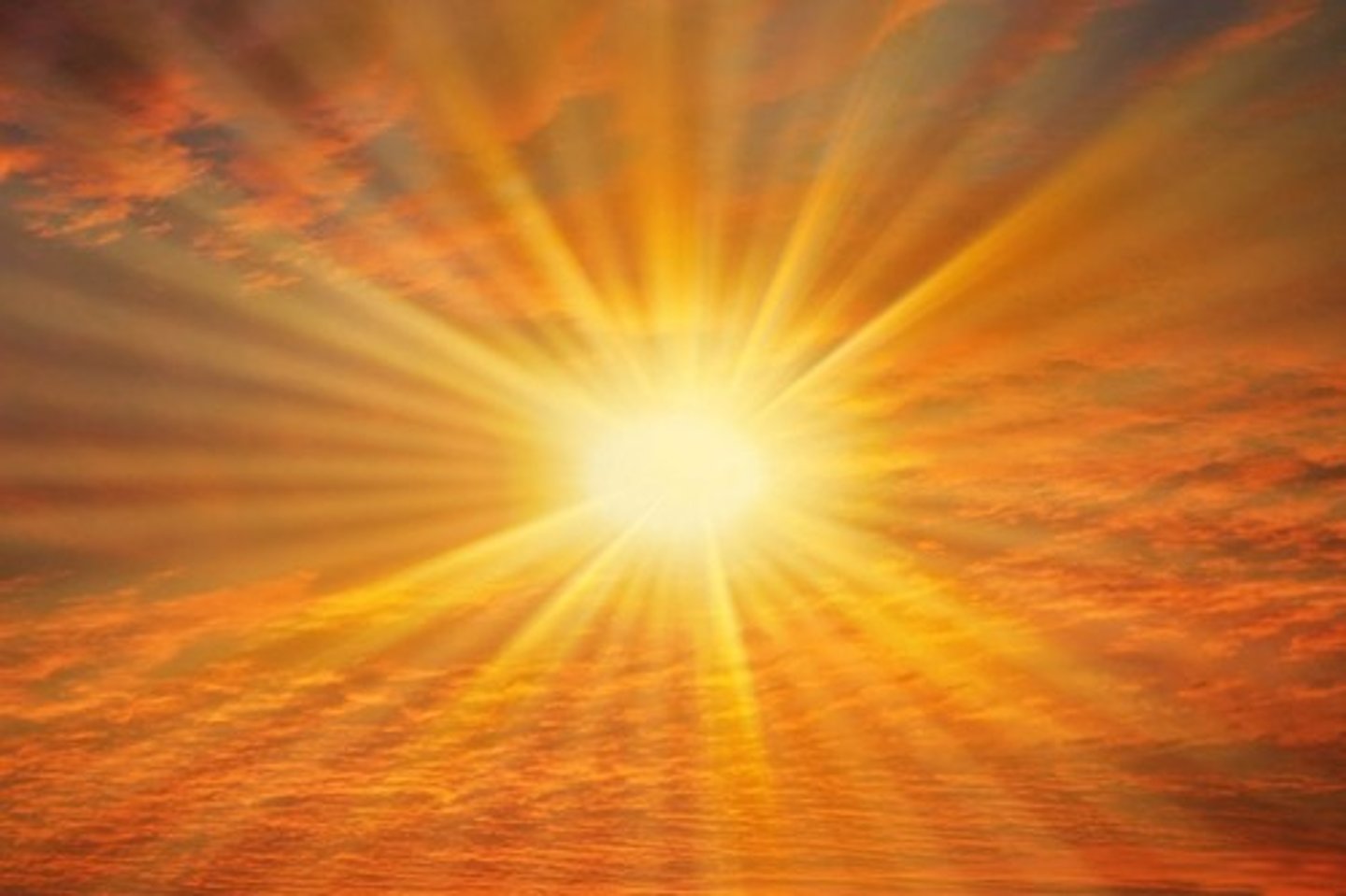 <p>to shine</p>
