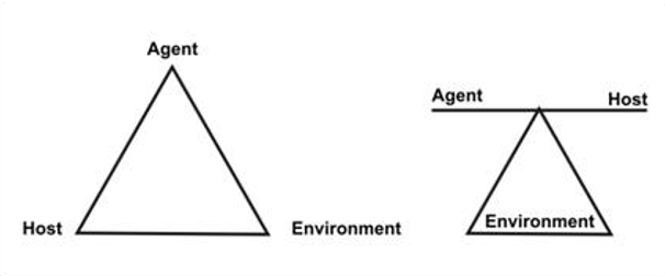 <ul><li><p><strong><u>Host</u></strong>: Susceptible human or animal that carries the diseases.</p><ul><li><p><strong><em><mark data-color="green" style="background-color: green; color: inherit">Ex</mark></em></strong><mark data-color="green" style="background-color: green; color: inherit">: demographics, immunity, disease history</mark></p></li></ul></li><li><p><strong><u>Agent</u></strong>: A factor that causes or contributes to health problems.</p><ul><li><p><strong><em><mark data-color="green" style="background-color: green; color: inherit">Ex</mark></em></strong><mark data-color="green" style="background-color: green; color: inherit">: virus, chemical, trauma </mark></p></li></ul></li><li><p><strong><u>Environmen</u></strong><u>t</u>: external factors that influence the host.</p><ul><li><p><strong><em><mark data-color="green" style="background-color: green; color: inherit">Ex</mark></em></strong><mark data-color="green" style="background-color: green; color: inherit">: pollution, psychosocial environment, climate</mark></p></li></ul></li></ul><p></p>