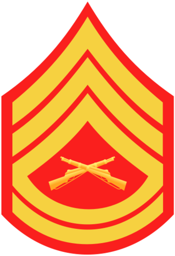 <p>E-7: 3 Chevrons, 2 Rockers, Crossed Rifles</p>