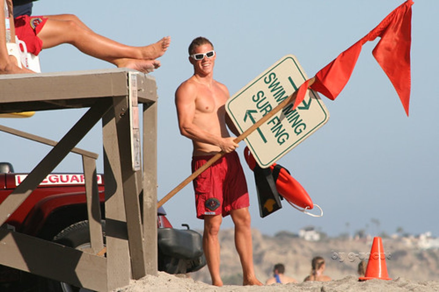 <p>the lifeguard</p>