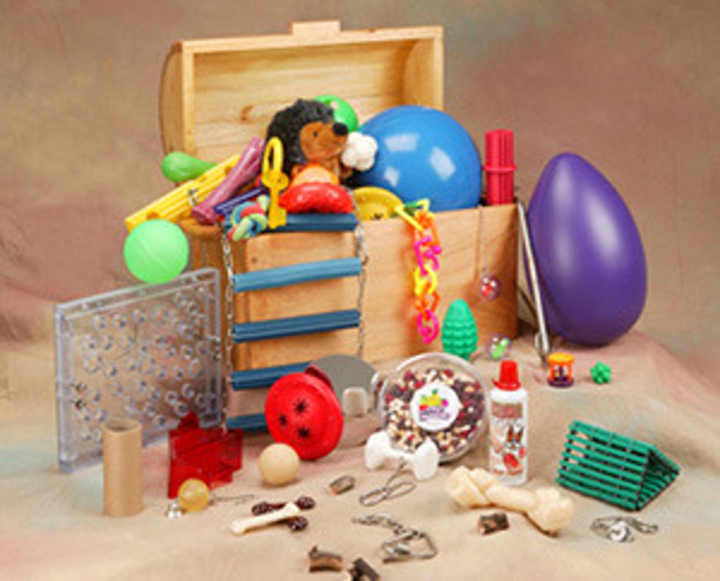 <p>Vertical space, resting ledges, boxes for burrowing, chew toys, climbing ropes, hidden treats, and running wheels.</p>