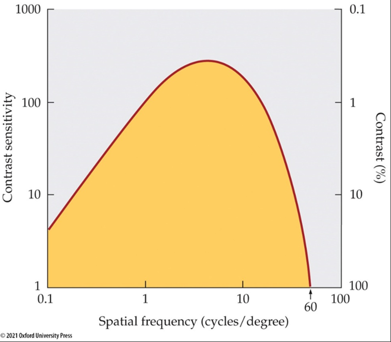 <p><span>What does the yellow region in the graph refer to?</span></p>