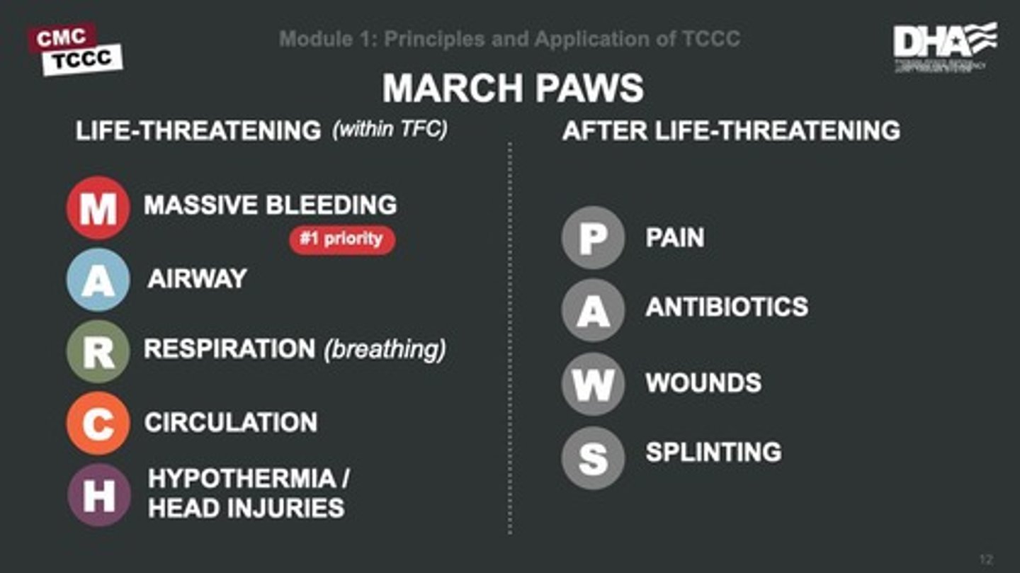 <p>Massive bleeding, Airway, Respiratory, Circulation, Head injury/hypothermia.</p>