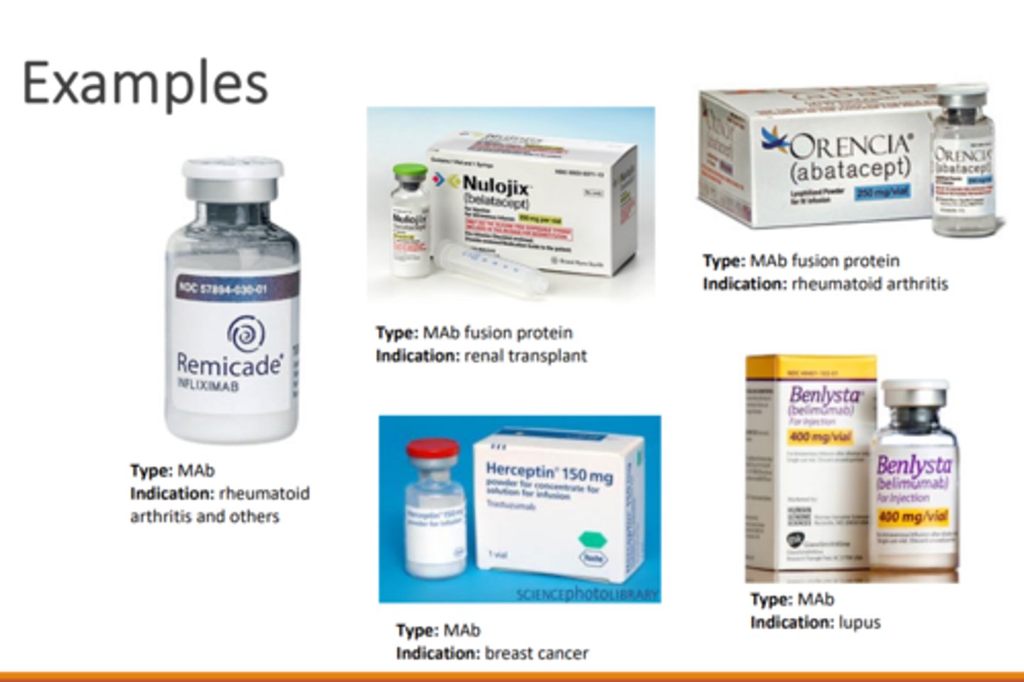 <p>products that have been freeze dried. Lyophilization removes water from a product, which stabilizes it and extends its shelf life</p>