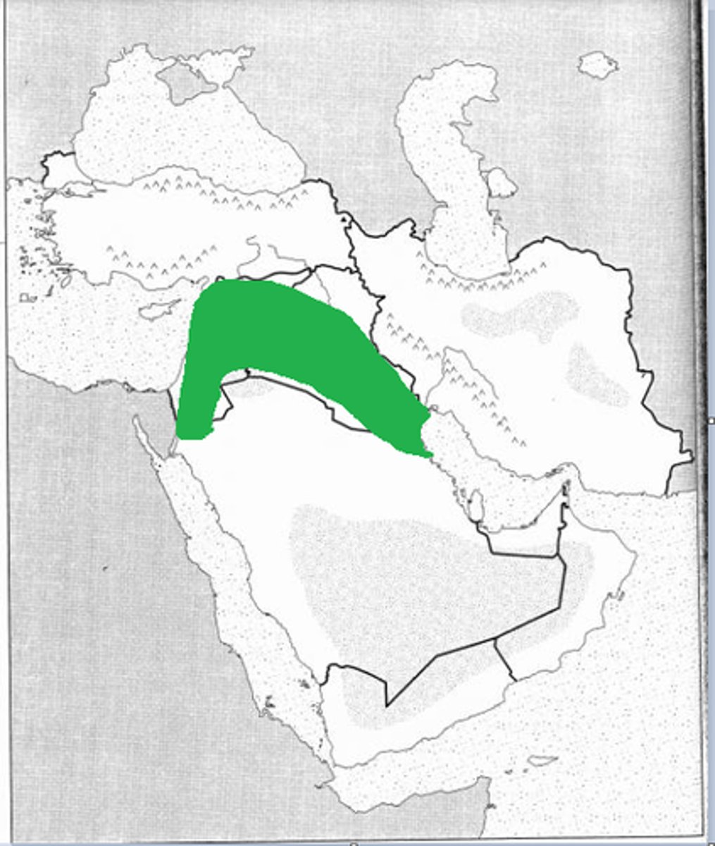 knowt flashcard image