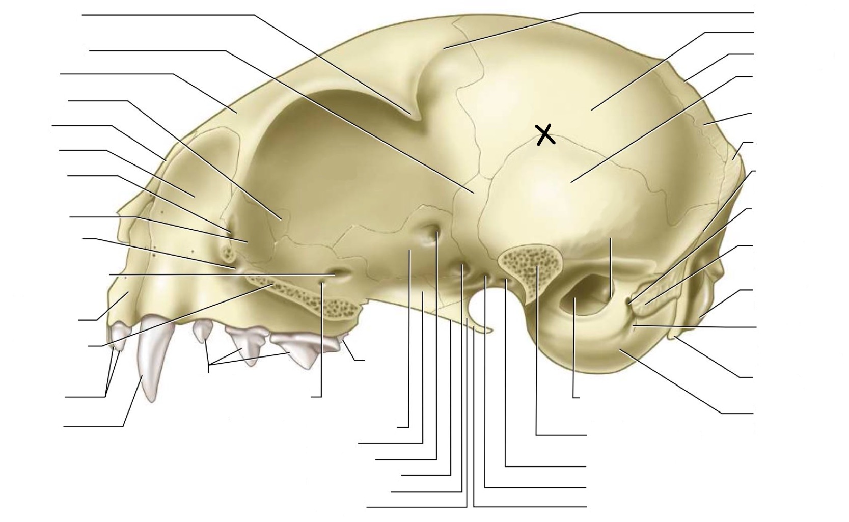 <p>What is this surface?</p>
