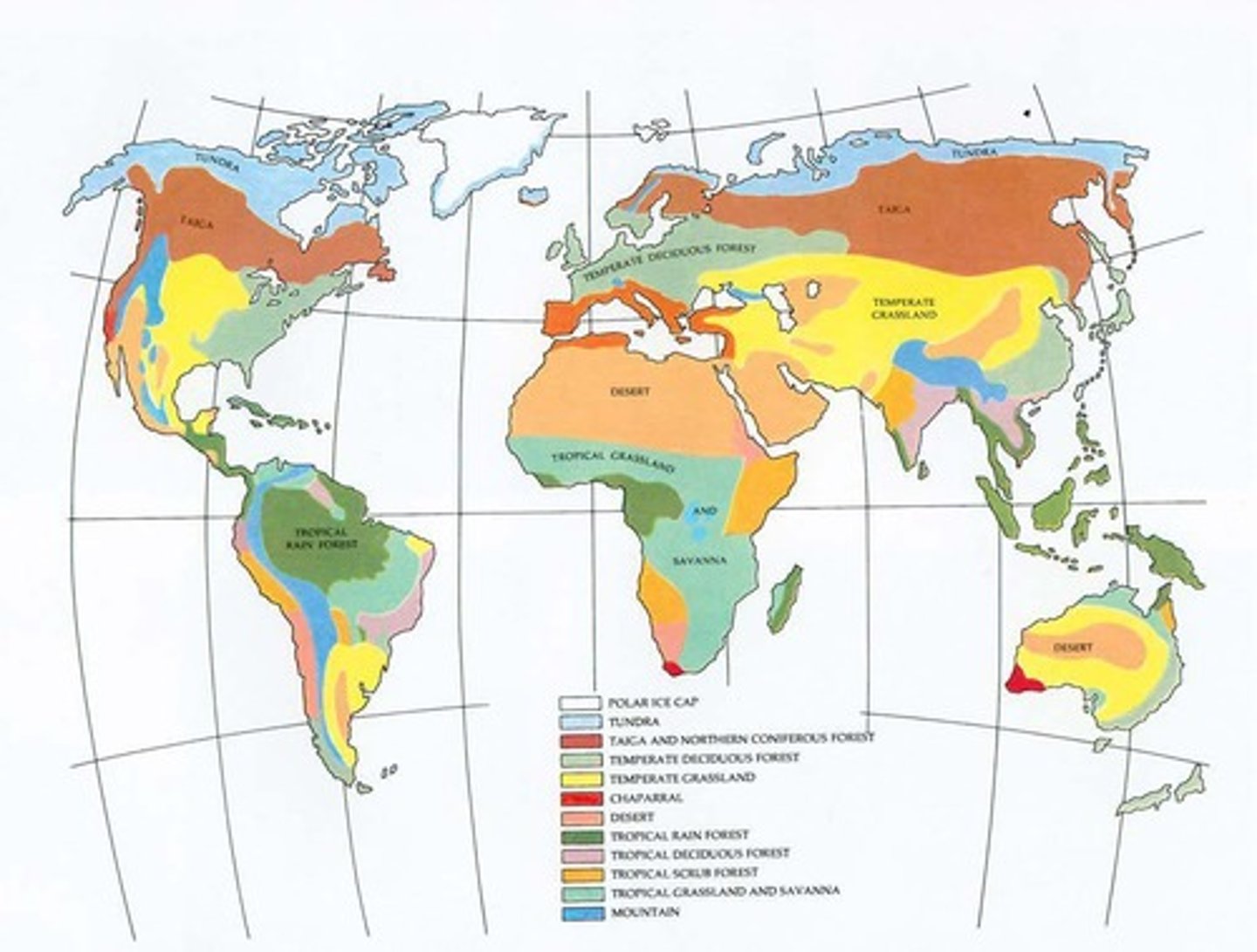 <p>Chronological timeline of Earth's geological history.</p>