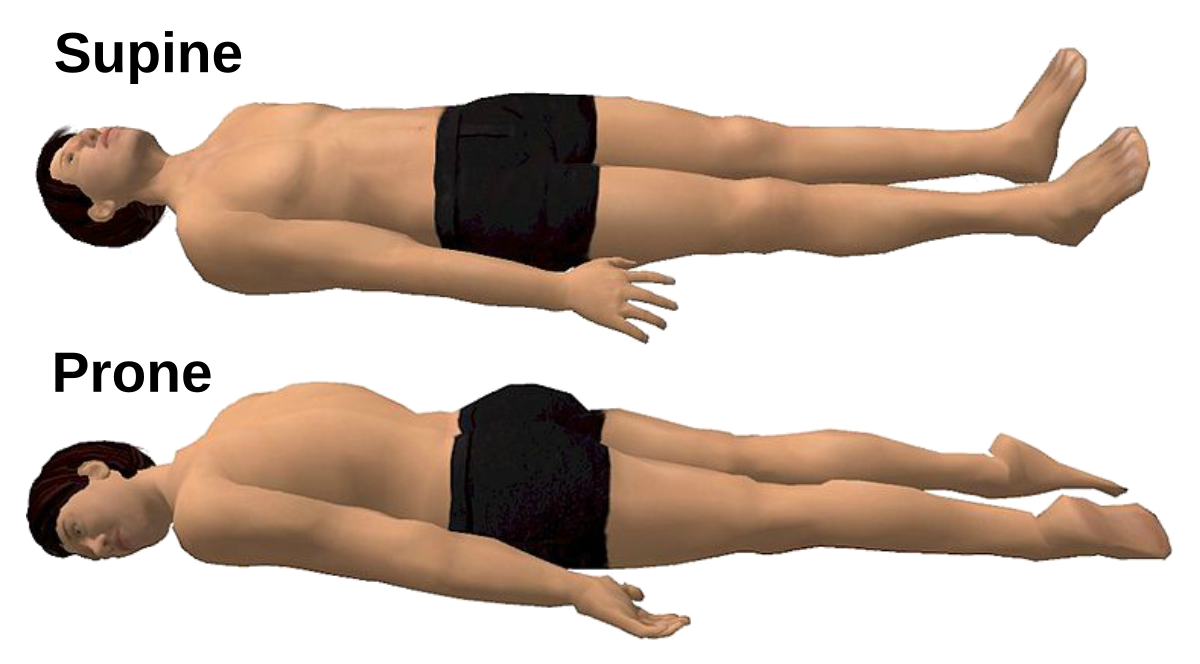 <p>Body lying face down.</p>