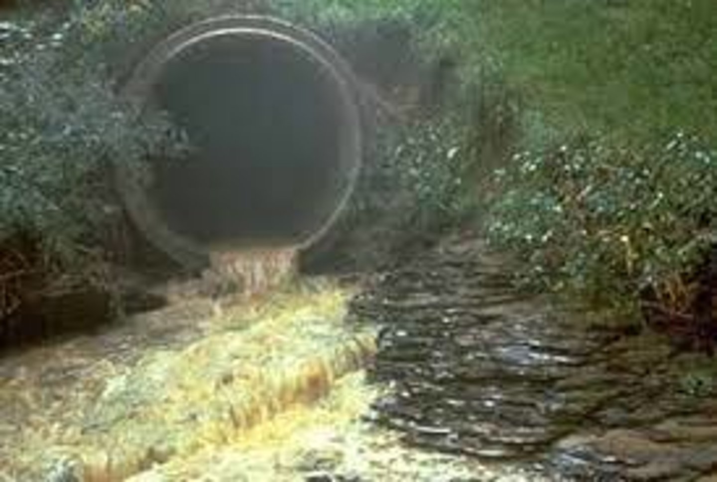 <p>1) контакт с человеческими отходами 2) воздействие нечистот</p>