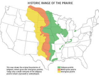 <p><span>West. Covers the most land of any prairie in North America. Near deserts of western US&nbsp;Short grasses ( less than 20in). 10in precipitation annually.</span></p>