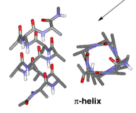 <p>π helix</p>