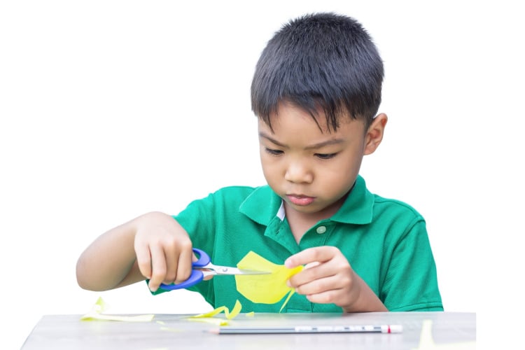 <ul><li><p><span style="color: red;"><strong>Bimanual coordination: </strong></span>Stabilize paper to cut w/ scissors</p></li><li><p><span style="color: rgba(43,43,43,var(--O42jJQ,1));"><strong>Oculomotor skills: </strong>eye movements and coordination needed for everyday tasks like reading, writing, and sports</span></p></li></ul><p></p>