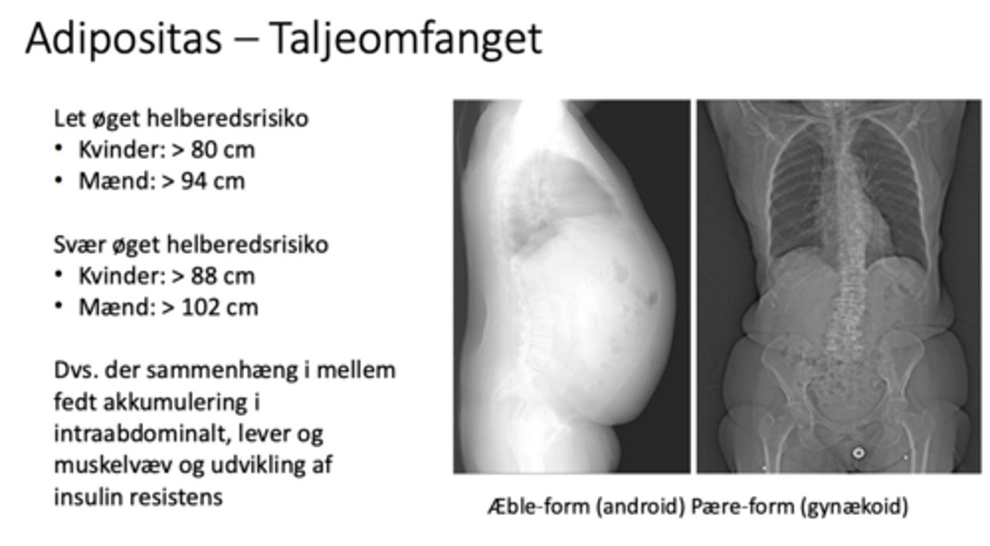 <p>Fedtvævet danner adipokiner som er med til og inducere insulin resistens.</p><p>Derudover vil overvægtige have meget visceralt fedt og høje mængder af frei fedtsyrer i blodet. Dette gør at der forbrændes flere fedtsyrer og ikke i samme grad glukose.</p>