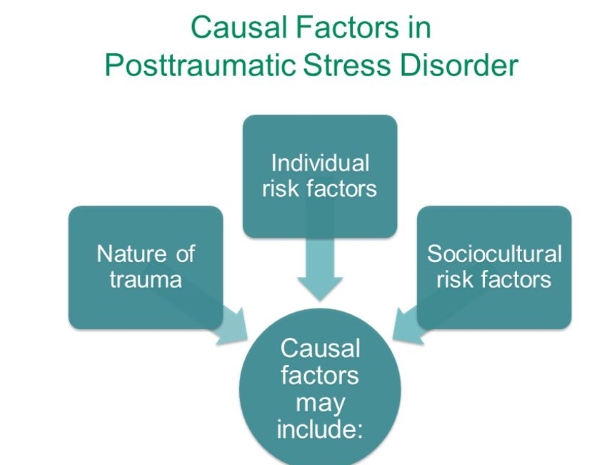 <ul><li><p>Nature of Trauma</p></li><li><p class="has-focus">Individual risk factors</p></li><li><p class="has-focus">Sociocultural risk factors</p></li></ul><p></p>