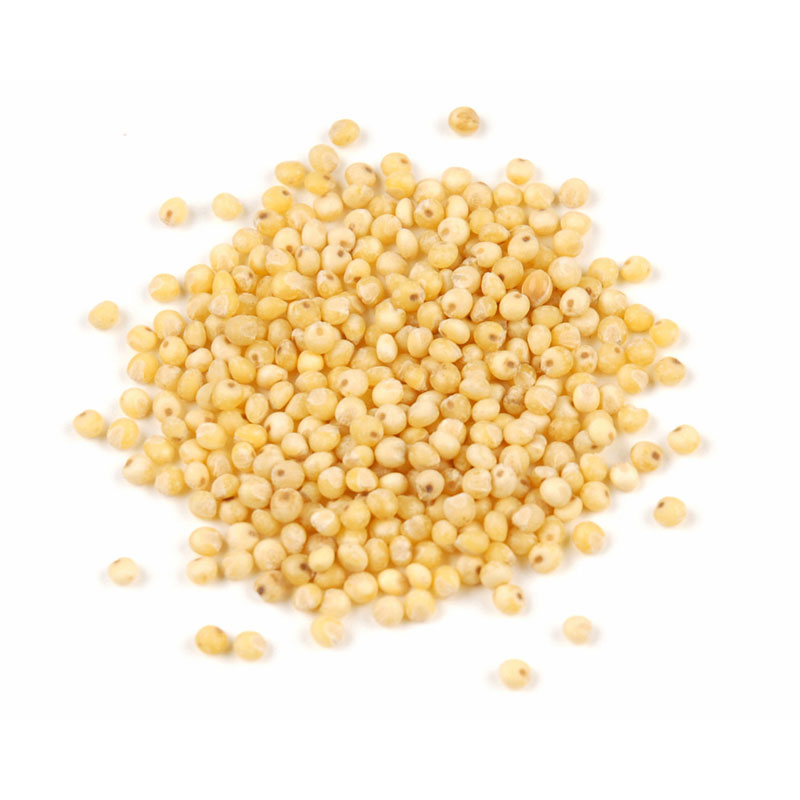 <p>Millet </p>