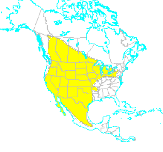<p>Which species fits the following habitat and management concerns?</p><p><br>Habitat: Generalists; alpine meadows, remote pastures, drained marshes, low elevation grassy meadows, and deserts; in the western ½ of the US; primarily dry, open habitats</p><p>Management issues: Prey on rodent pests that may carry disease or damage crops; burrows provide cover for small game mammals; furbearer; burrows present a hazard to livestock</p>