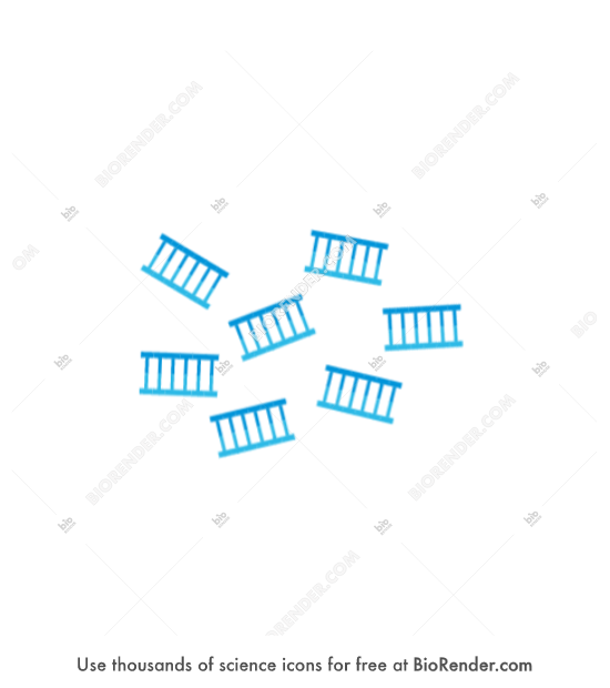 <p>DNA Fragments</p>