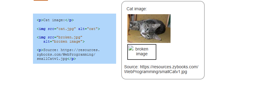 <p><img> element</p>